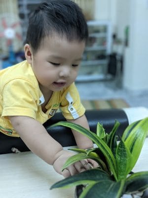 Học Cháo Ăn Dặm Cho Bé Tại Nhà