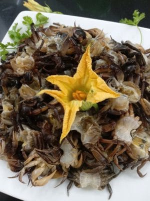 Hướng dẫn mẹ cách chế biến nhân