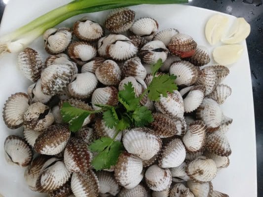 Nguyên liệu tươi sống