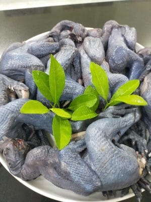 Hướng dẫn nấu cháo gà ác